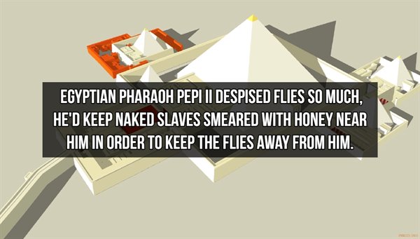 design - Egyptian Pharaoh Peplii Despised Flies So Much. He'D Keep Naked Slaves Smeared With Honey Near Him In Order To Keep The Flies Away From Him.