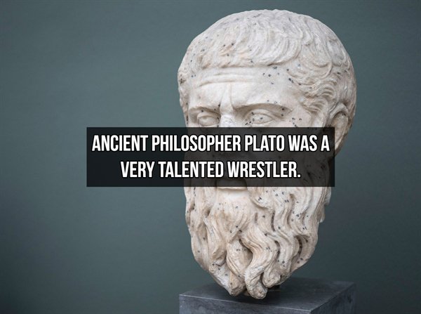 philosophy plato - Ancient Philosopher Plato Was A Very Talented Wrestler.