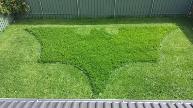 batman grass