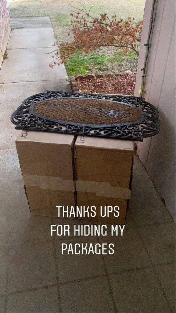 floor - Thanks Ups For Hiding My Packages