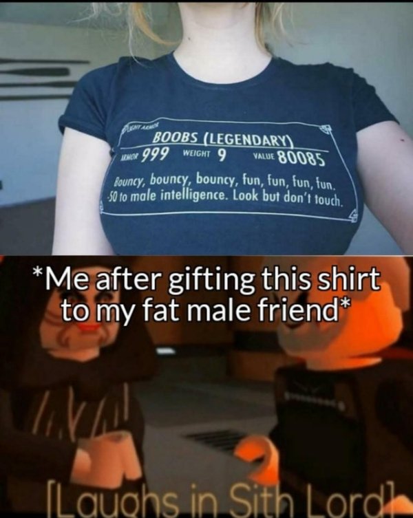 gamer chick - Boobs Legendary Memor 999 Weight 9 Value 80085 Rouncy, bouncy, bouncy, fun, fun, fun, fun, 150 to male intelligence. Look but don't touch Me after gifting this shirt to my fat male friend Laughs in Sith Lordle