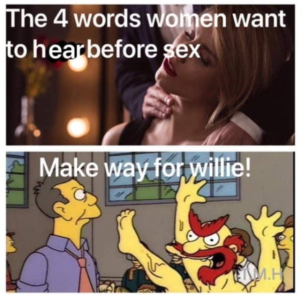 willie meme - The 4 words women want to hear before sex Make way for Willie!