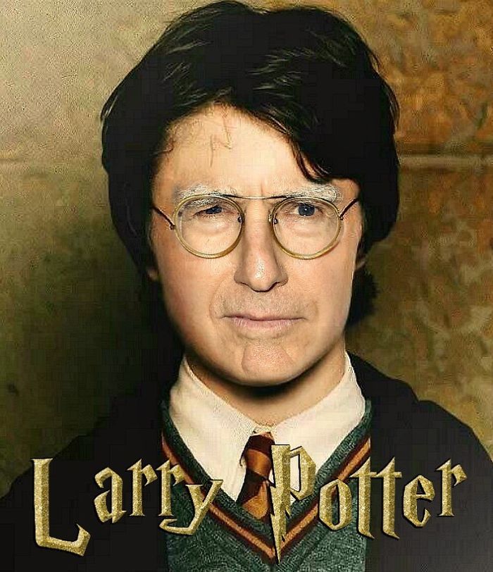 harry potter - Larry Potter