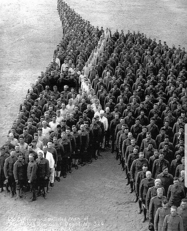 anzac horses - Congebob e euicers and Enlisted Men of lepo No 326