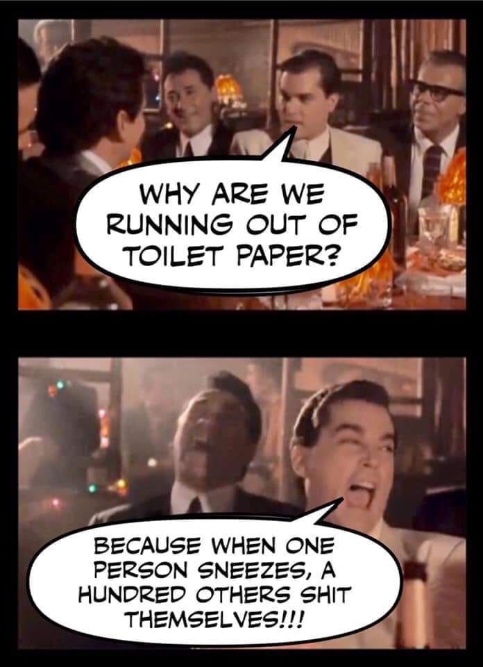 photo caption - Why Are We Running Out Of Toilet Paper? Because When One Person Sneezes, A Hundred Others Shit Themselves!!!