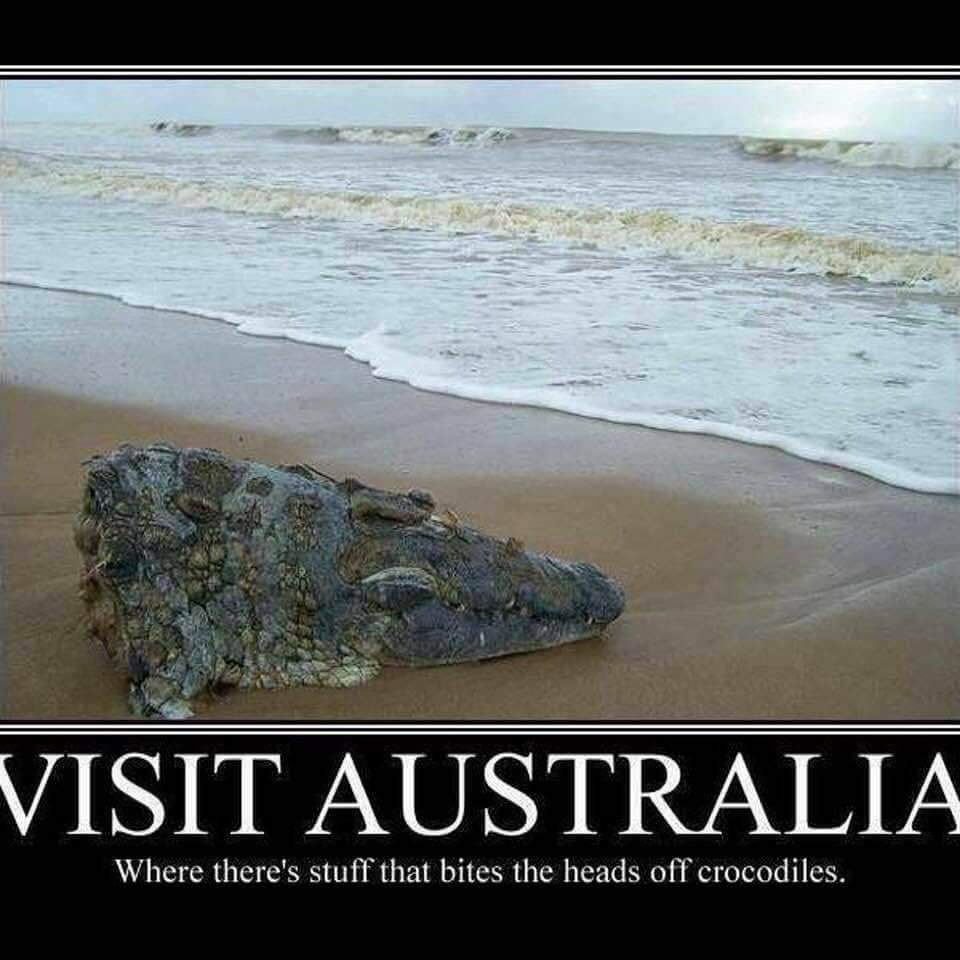 craziest things to wash up on shore - Visit Australia Where there's stuff that bites the heads off crocodiles.