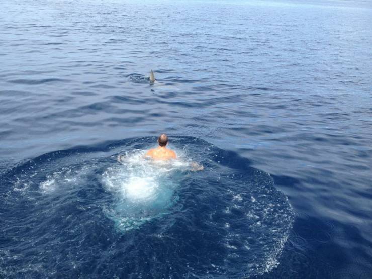 35 Photos That Are the Definition of a Bad Day.