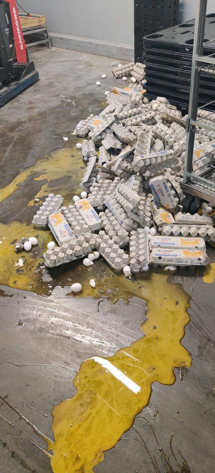 35 Photos That Are the Definition of a Bad Day.