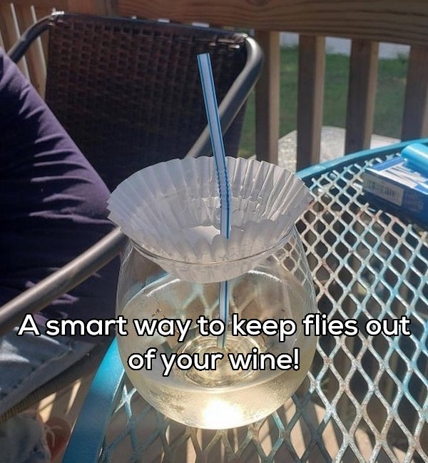 glass - A smart way to keep flies out of your wine!