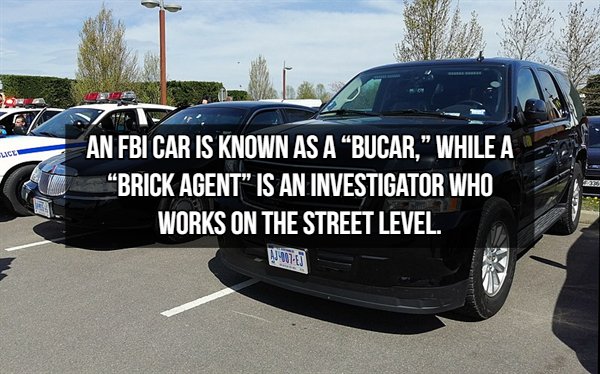 fbi car - An Fbi Car Is Known As A Bucar, While A Brick Agent" Is An Investigator Who Works On The Street Level.
