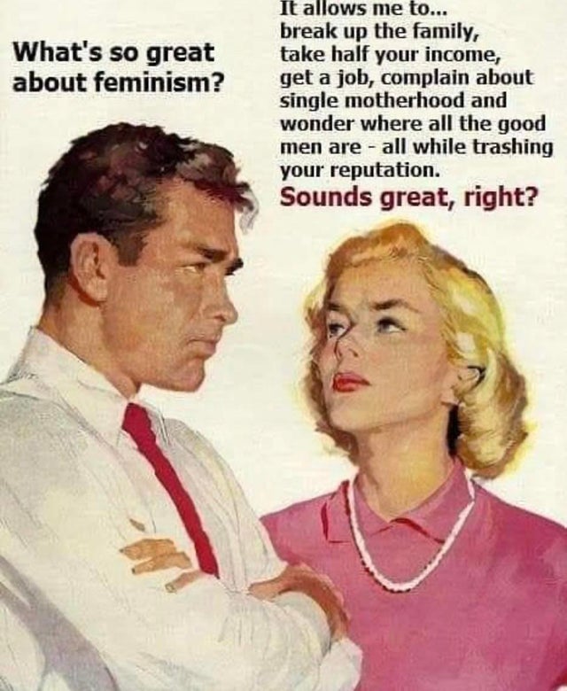album cover - What's so great about feminism? It allows me to... break up the family, take half your income, get a job, complain about single motherhood and wonder where all the good men are all while trashing your reputation. Sounds great, right?