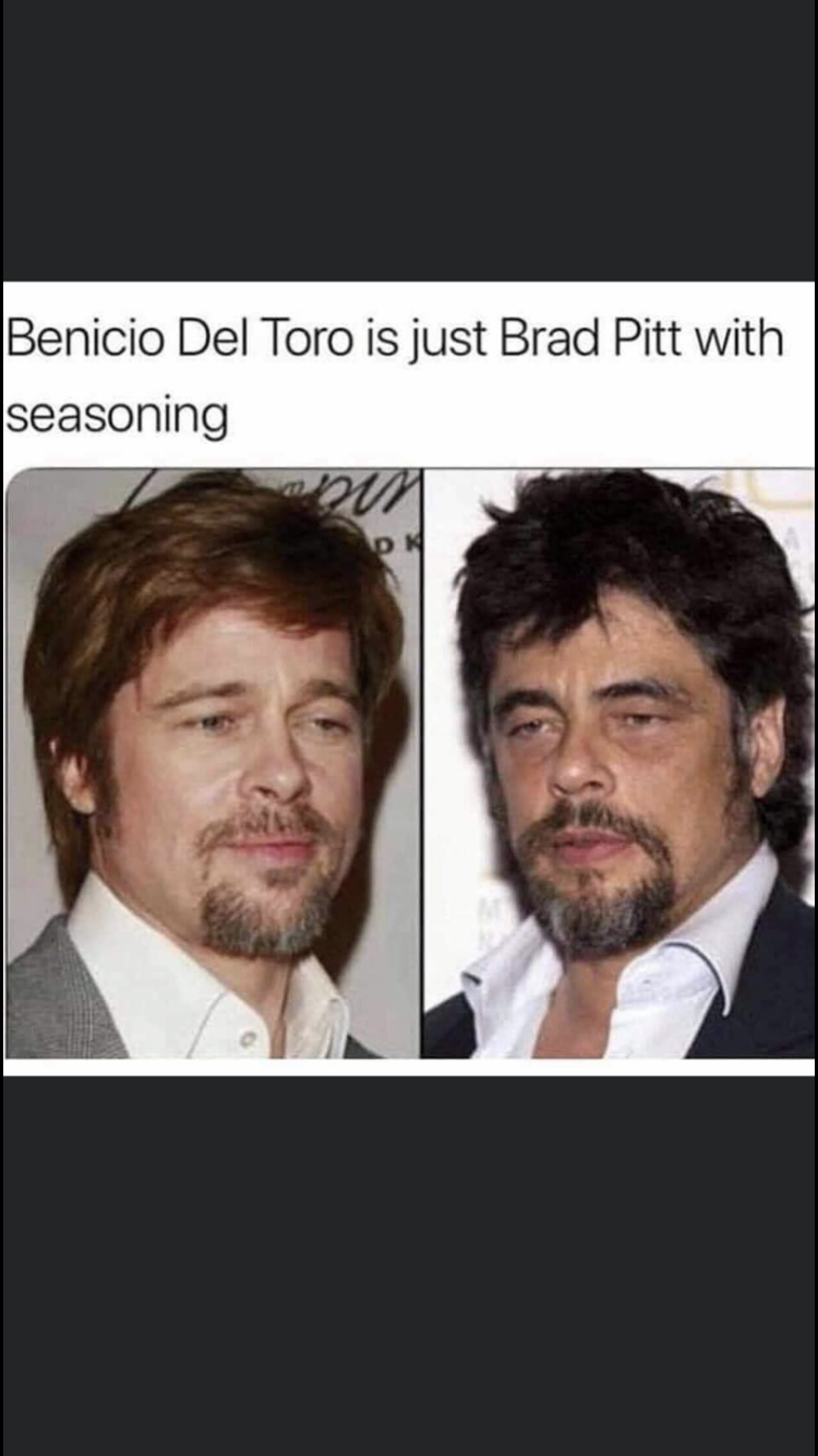 brad pitt benicio del toro - Benicio Del Toro is just Brad Pitt with seasoning