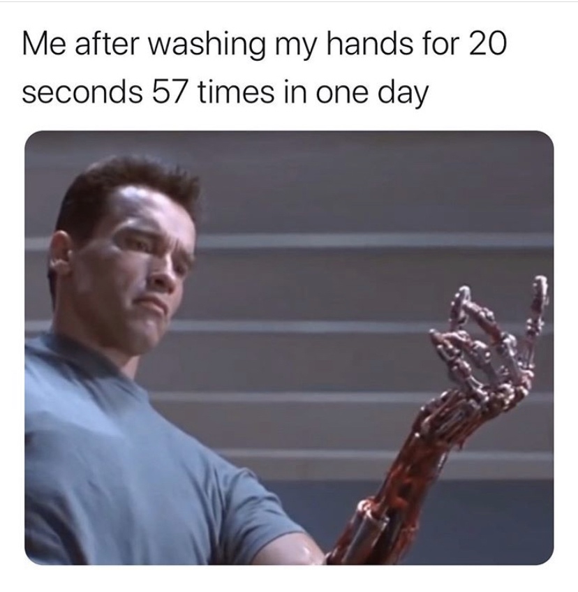 terminator arm meme - Me after washing my hands for 20 seconds 57 times in one day