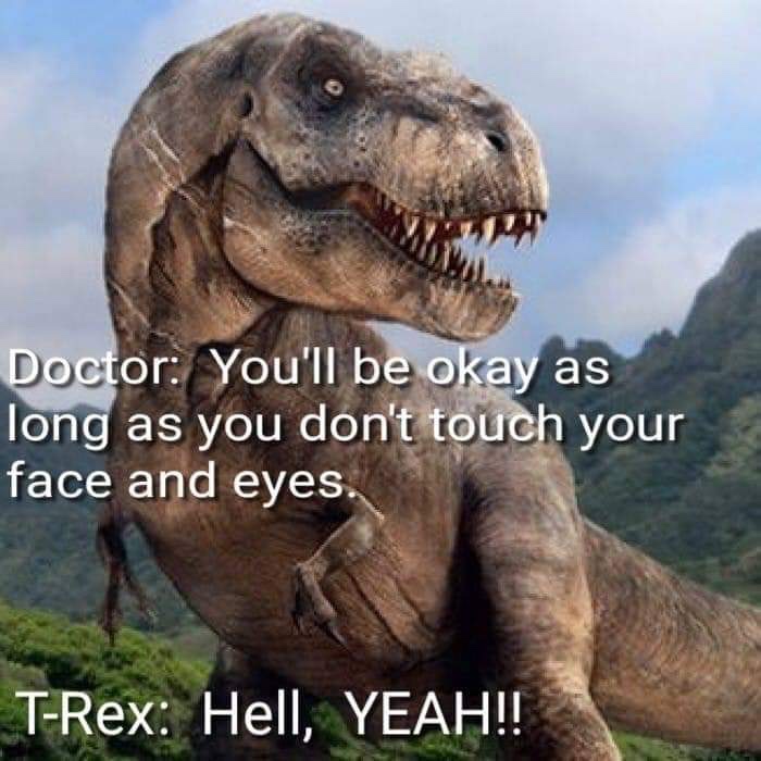 t rex jurassic park - Doctor You'll be okay as long as you don't touch your face and eyes. TRex Hell, Yeah!!