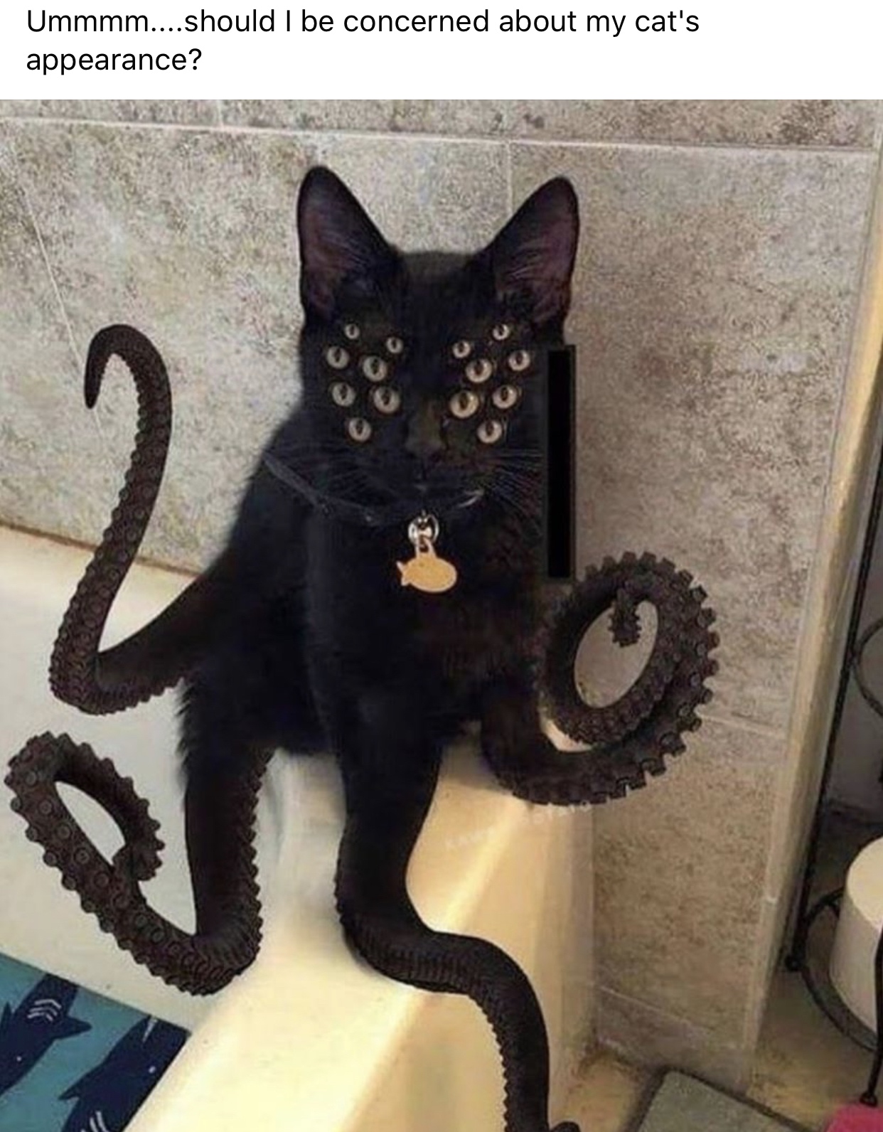 cthulhu cat - Ummmm....should I be concerned about my cat's appearance?