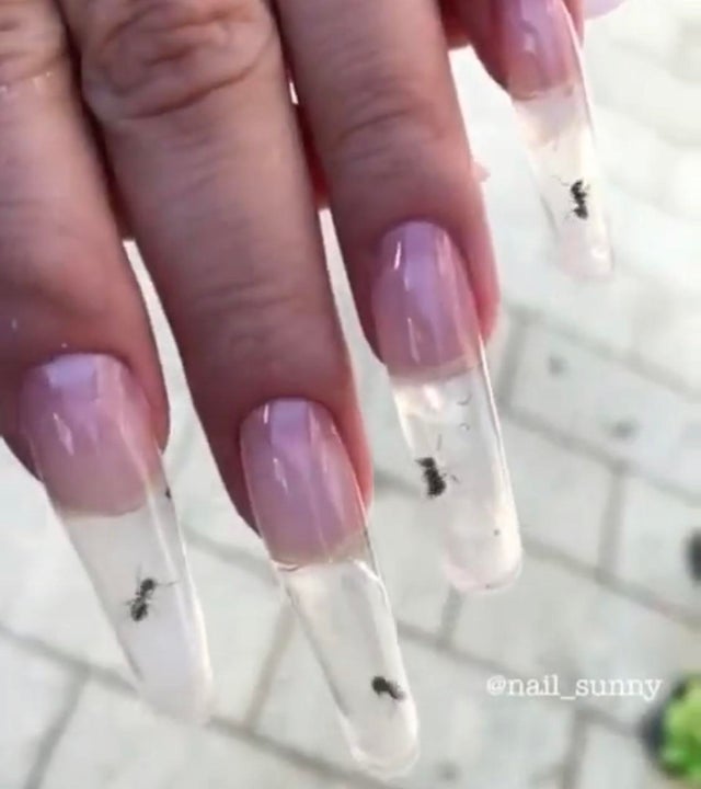 acrylic nails with ants -