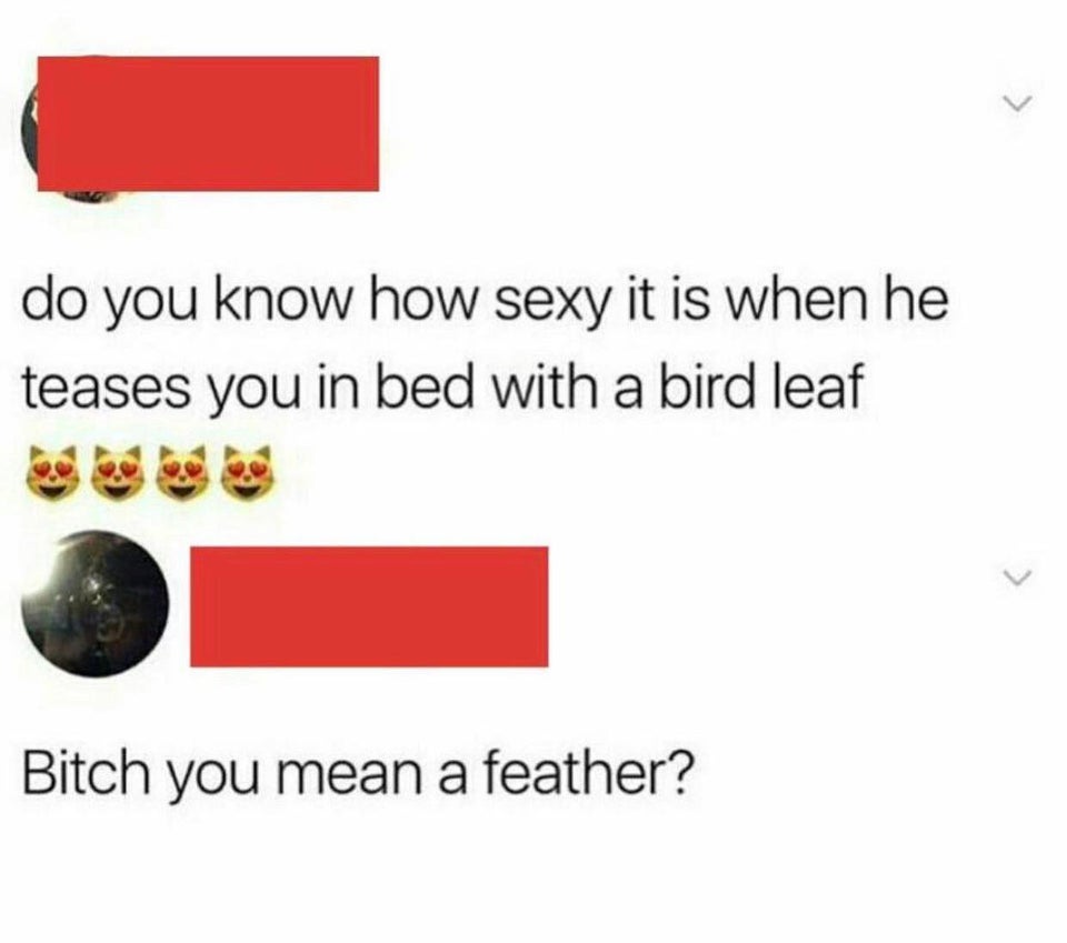 bird leaf tweet - do you know how sexy it is when he teases you in bed with a bird leaf Bitch you mean a feather?