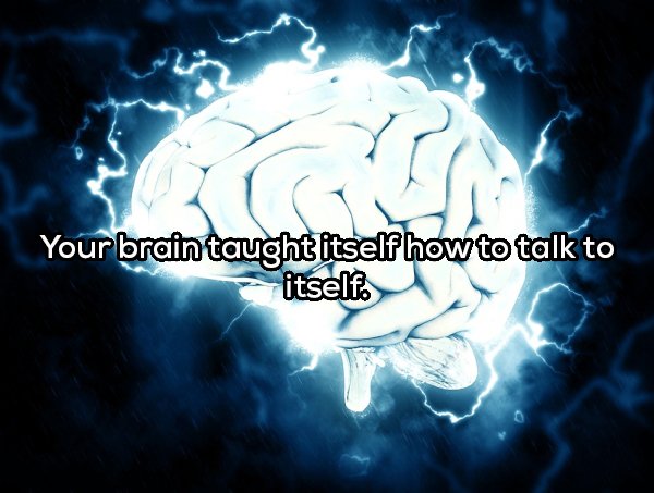 brain working - Your brain taught itself how to talk to itself.