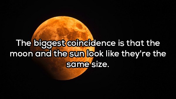 howling wolf - The biggest coincidence is that the moon and the sun look they're the same size.