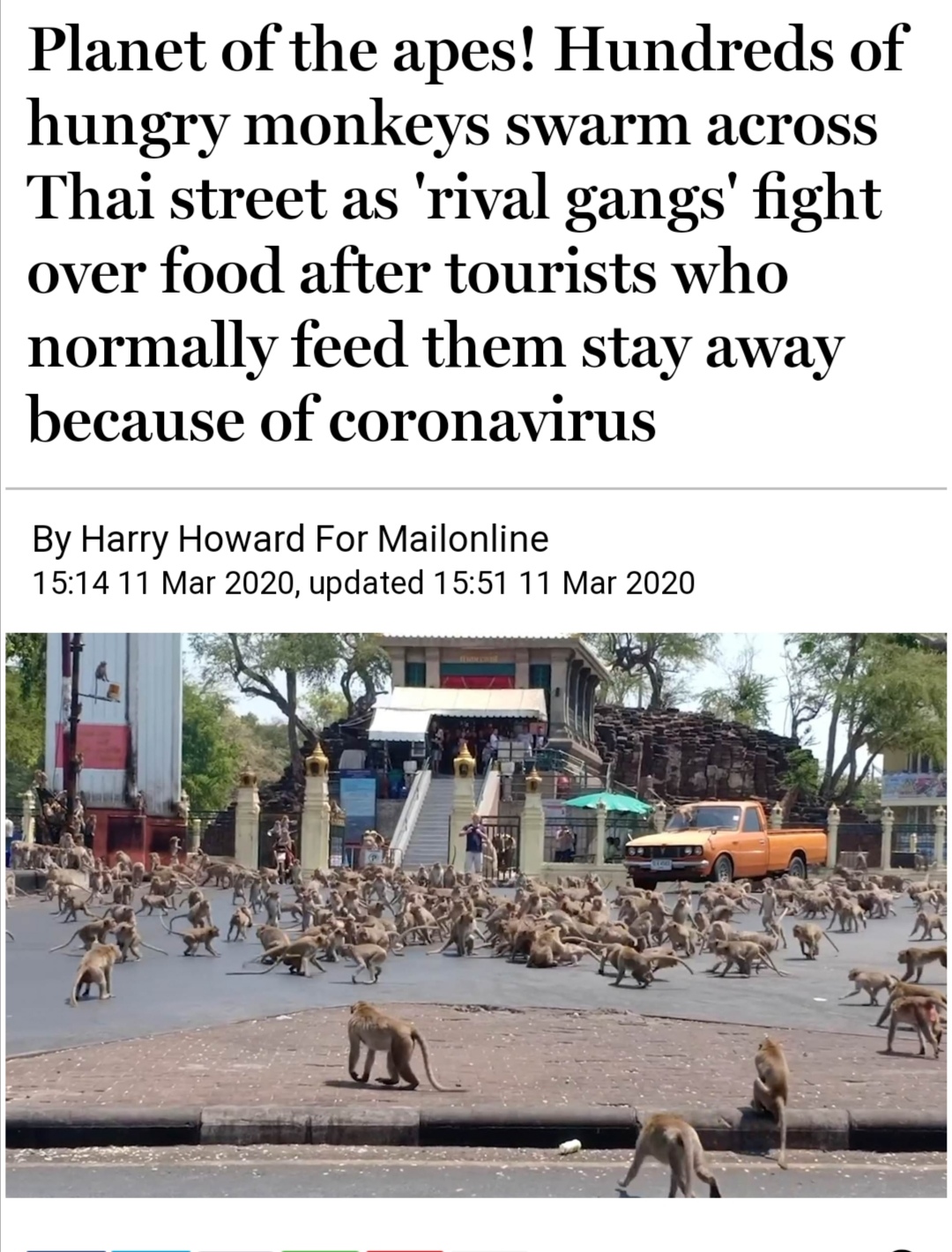 vehicle - Planet of the apes! Hundreds of hungry monkeys swarm across Thai street as 'rival gangs' fight over food after tourists who normally feed them stay away because of coronavirus By Harry Howard For Mailonline , updated