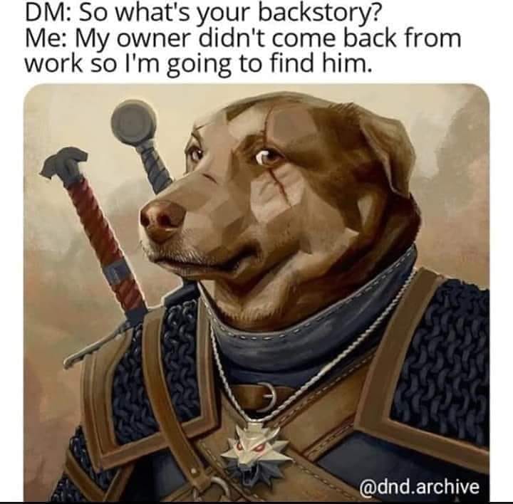 Dm So what's your backstory? Me My owner didn't come back from work so I'm going to find him. .archive