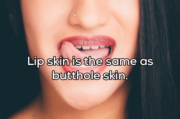 lip - Lip skin is the same as butthole skin.