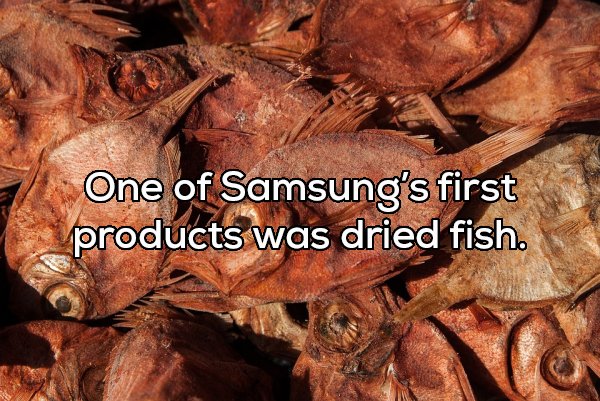 soil - One of Samsung's first products was dried fish.