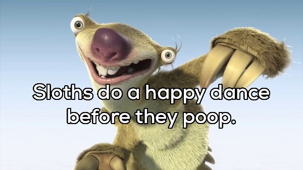 sid the sloth - Sloths do a happy dance before they poop.