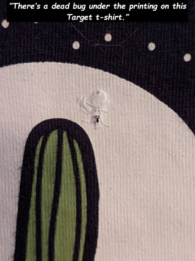 beanie - "There's a dead bug under the printing on this Target tshirt." 2372 Szrc 3 Bruna Pa Ws burn ber plann