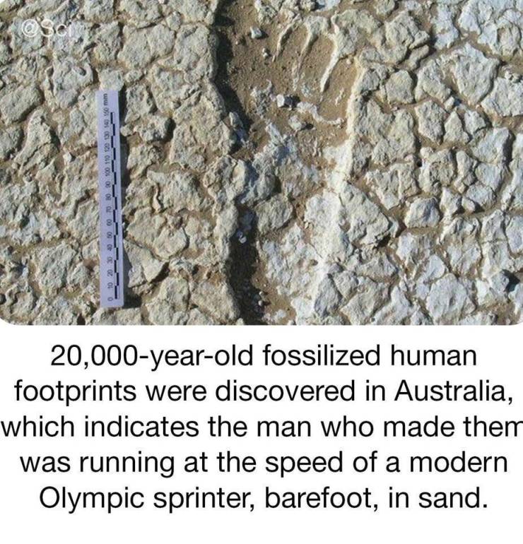 fossilized human footprints - mm 100 110 120 199 942 10 100 0_10 20 30 40 50 60 20,000yearold fossilized human footprints were discovered in Australia, which indicates the man who made them was running at the speed of a modern Olympic sprinter, barefoot, 
