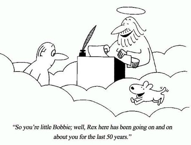 so you re little bobbie - Ellllll 2 "So you're little Bobbie; well, Rex here has been going on and on about you for the last 50 years."