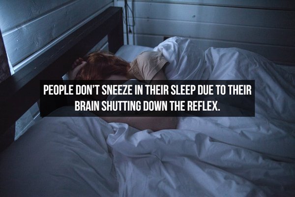 t know their true power - People Don'T Sneeze In Their Sleep Due To Their Brain Shutting Down The Reflex.