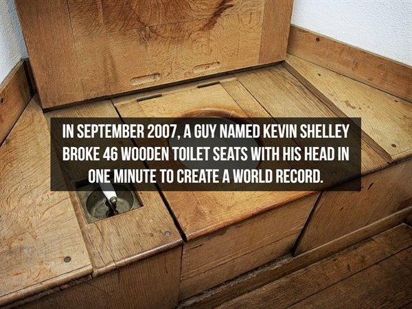 wooden toilet bowl - In , A Guy Named Kevin Shelley Broke 46 Wooden Toilet Seats With His Head In One Minute To Create A World Record.
