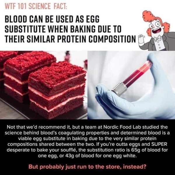 blood substitute for eggs - Wtf 101 Science Fact Blood Can Be Used As Egg Substitute When Baking Due To Their Similar Protein Composition Toon Not that we'd recommend it, but a team at Nordic Food Lab studied the science behind blood's coagulating propert