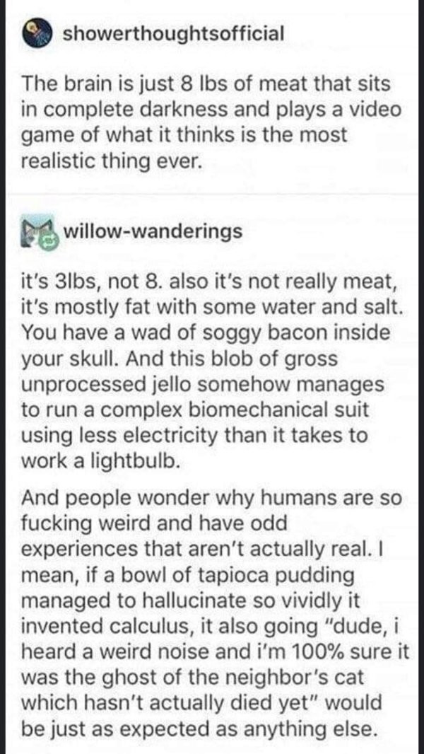 you should wake up before you forget - showerthoughtsofficial The brain is just 8 lbs of meat that sits in complete darkness and plays a video game of what it thinks is the most realistic thing ever. M willowwanderings it's 3lbs, not 8. also it's not real