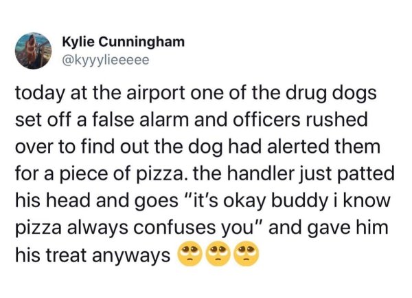 document - Kylie Cunningham today at the airport one of the drug dogs set off a false alarm and officers rushed over to find out the dog had alerted them for a piece of pizza. the handler just patted his head and goes "it's okay buddy i know pizza always 