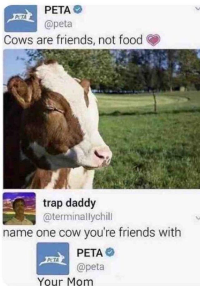 peta memes - Peta Cows are friends, not food trap daddy name one cow you're friends with Peta Your Mom