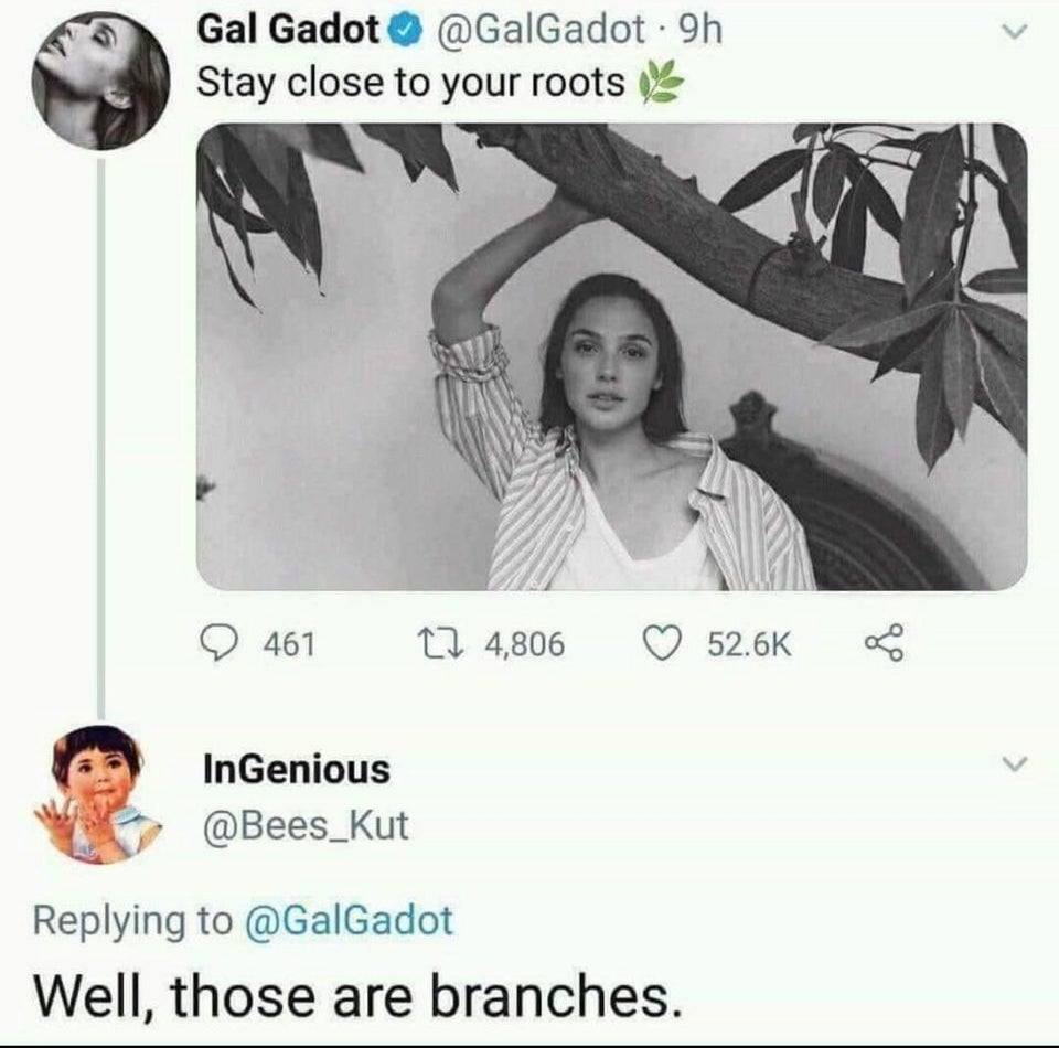 technically he's right - Gal Gadot . 9h Stay close to your roots 461 274,806 5 InGenious Well, those are branches.