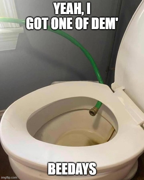 toilet seat - Yeah, I Got One Of Dem Beedays ingfip.com