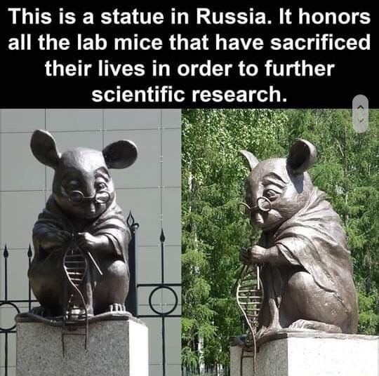 lab mouse statue - This is a statue in Russia. It honors all the lab mice that have sacrificed their lives in order to further scientific research,