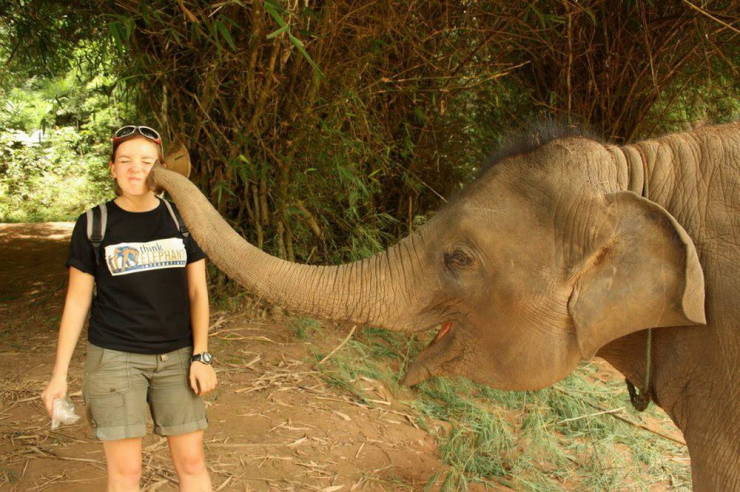 elephant trunk face