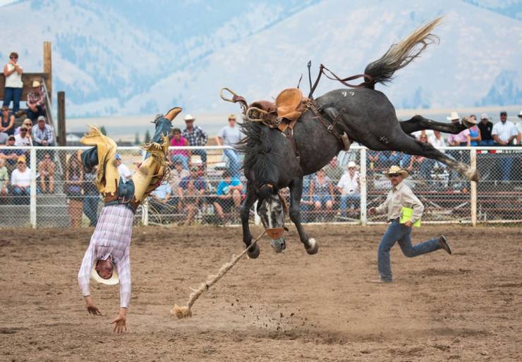 bronco bucks