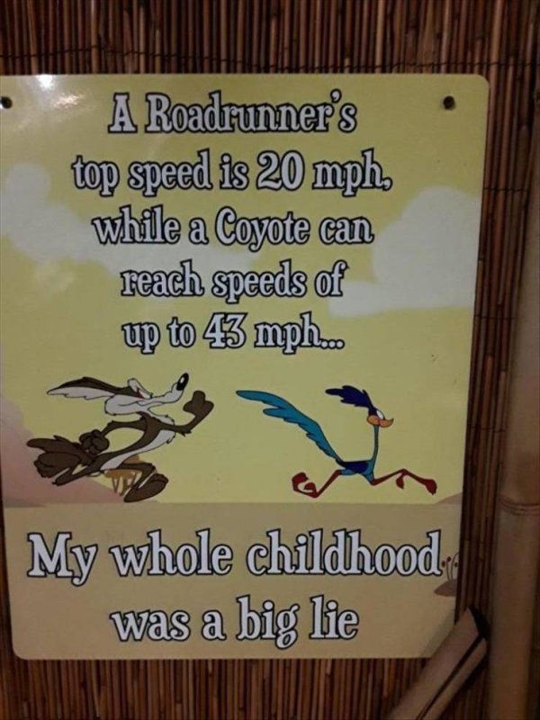 sign - A Roadrunner's top speed is 20 mph while a Coyote can reach speeds of up to 43 mph... My whole childhood, was a big lie