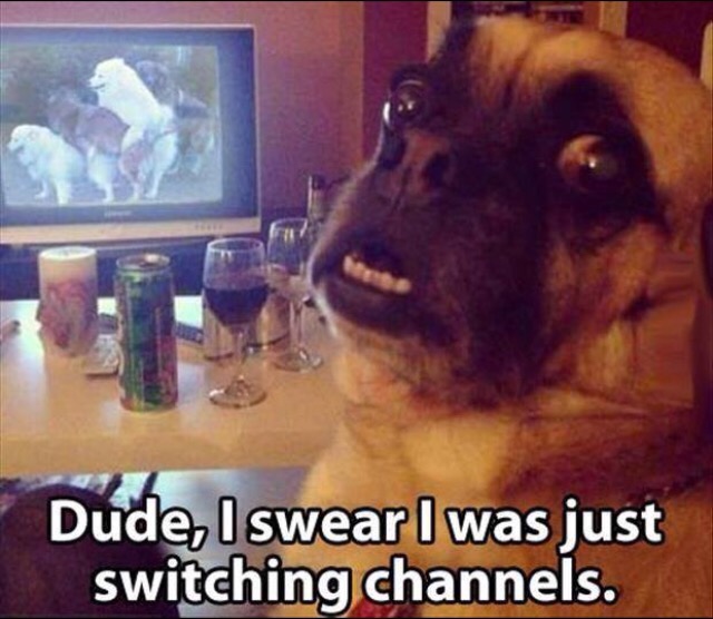 dude i swear i was just switching channels - Dude, I swear I was just switching channels.