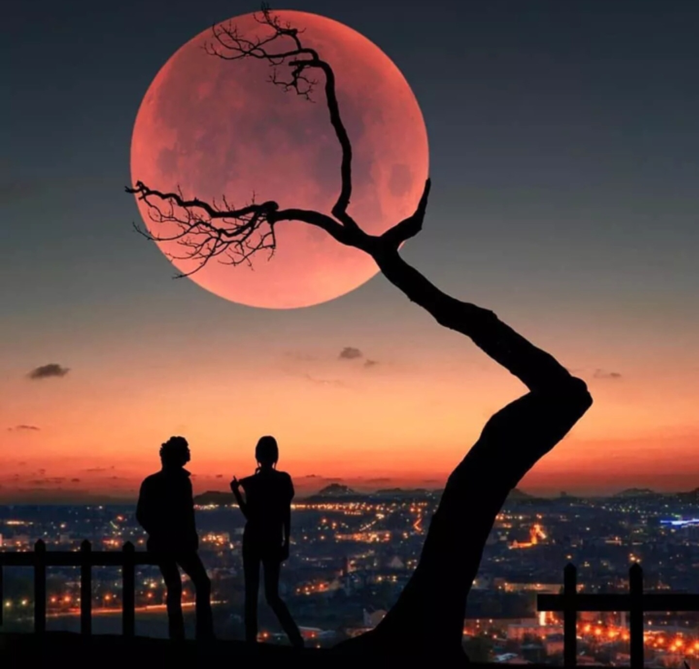 moon sunset