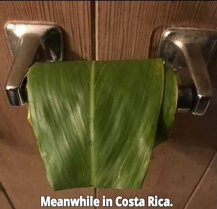 banana leaf - Meanwhile in Costa Rica.