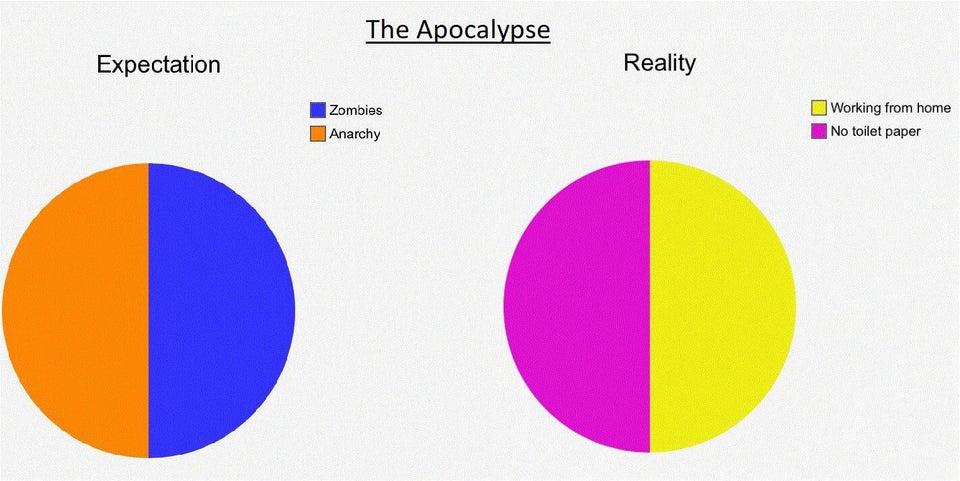 circle - The Apocalypse Expectation Reality Zombies Anarchy Working from home No toilet paper