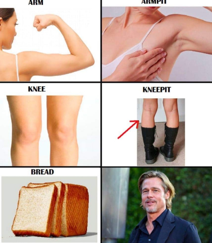 armpit knee pit bread - Arm Armpit Knee Kneepit Bread