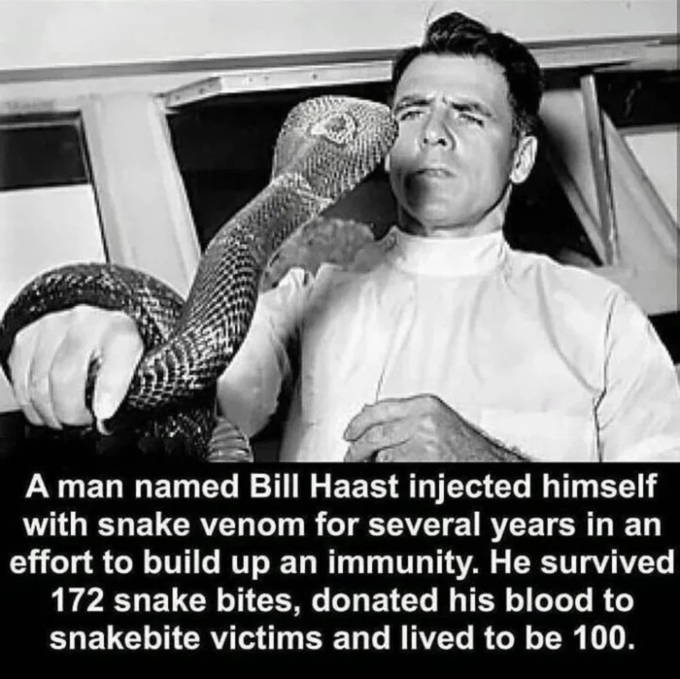 snake venom injection man - A man named Bill Haast injected himself with snake venom for several years in an effort to build up an immunity. He survived 172 snake bites, donated his blood to snakebite victims and lived to be 100.