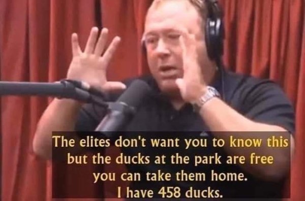 elites don t want you to know ducks - The elites don't want you to know this but the ducks at the park are free you can take them home. I have 458 ducks.